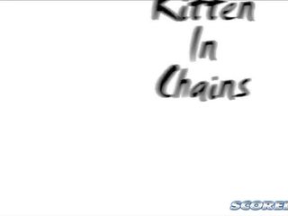 גור חתולים ב chains1