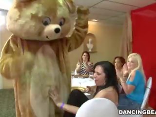 It&#039;s time to celebrate and party with the infamous Dancing Bear! (db9822)