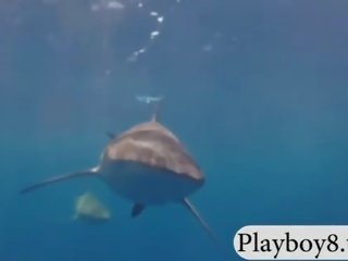 Badass girls swam with shark in the cage and snowboarding