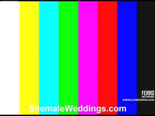 Impressionnant transexuelle weddings film avec incroyable porno étoiles carol, lorena, milena