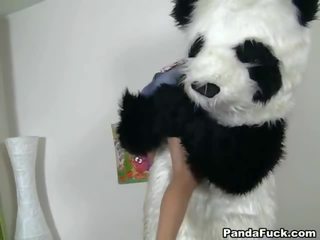 Niewinny nimfa zabawki za oustanding darky mięso kij zabawka panda